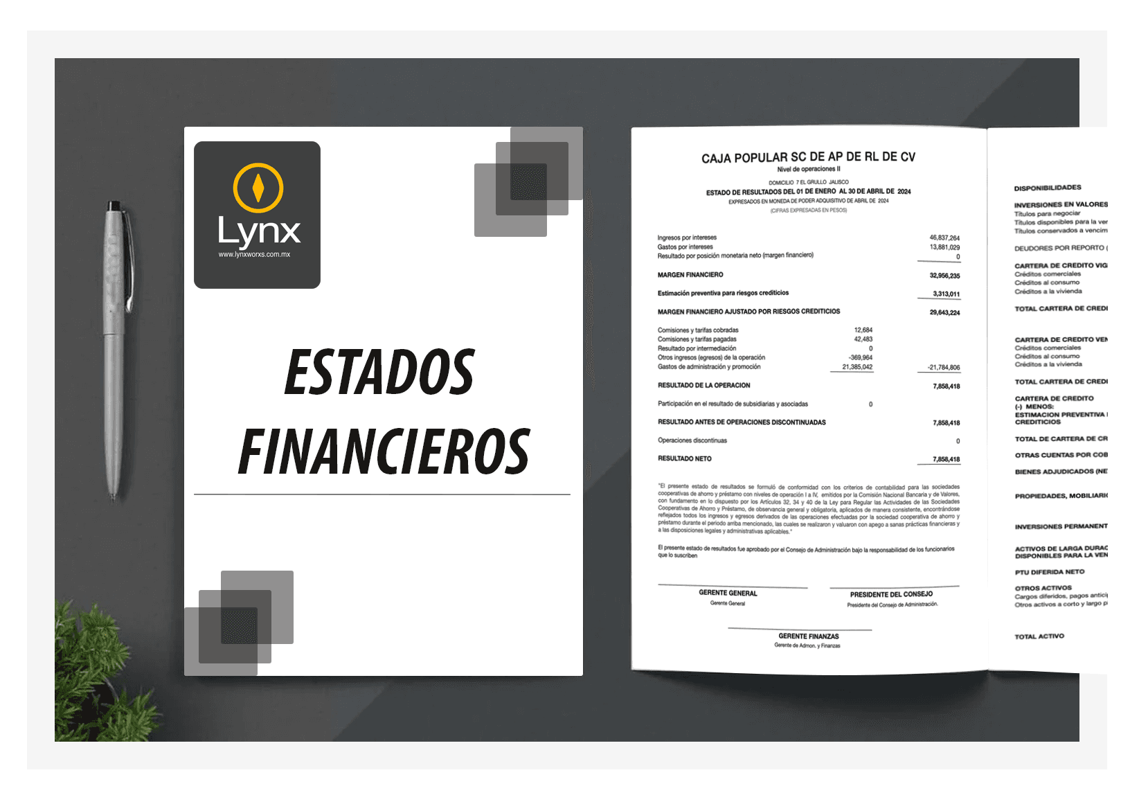 LynxCAJA - Software para SOCAP